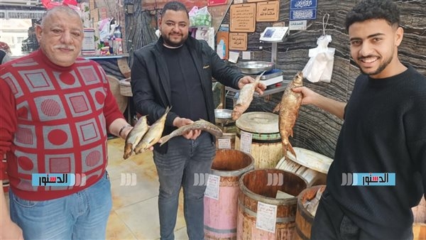 سعر الفسيخ والرنجة اليوم في مصر