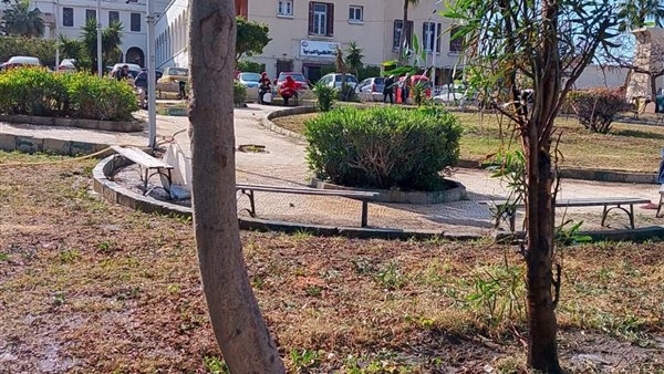 رفع كفاءة حديقة "الكومنولث" بطريق الحرية وسط الإسكندرية