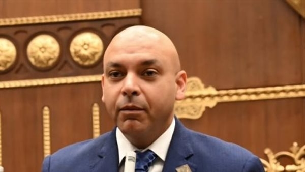 نائب التنسيقية: إنجازات مصر في الطاقة النظيفة "مصدر فخر"