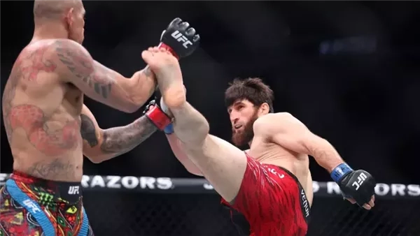 ماجوميد أنكالاييف ينتزع لقب الوزن الخفيف الثقيل من أليكس بيريرا في UFC 313