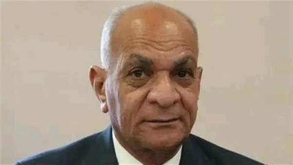 رئيس حزب الريادة: الشهداء وأسرهم على رأس اهتمامات الرئيس السيسى