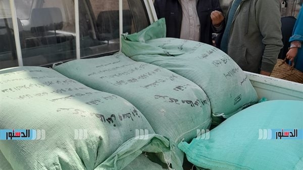 حملات تموينية تضبط 65 شيكارة دقيق و105 أسطوانة غاز مدعم بكفر الشيخ