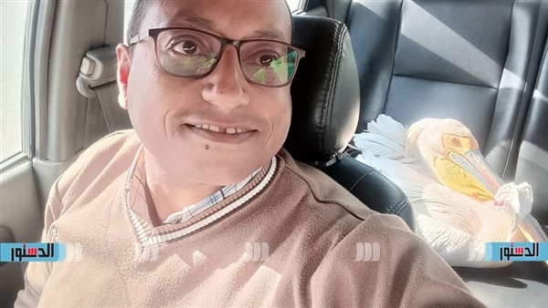 إنقاذ بجعة بيضاء مصابة في حي الزهور ببورسعيد بعد تداول فيديو على فيسبوك