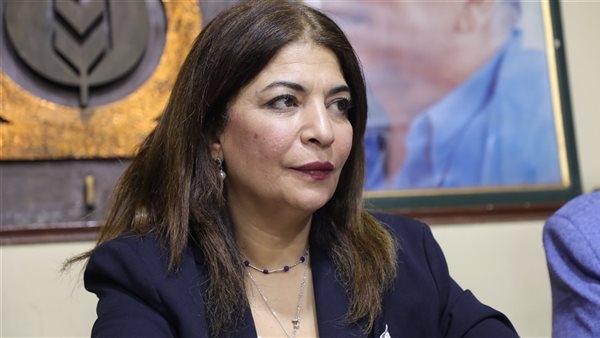 ضحى عاصى توضح أهم ملفات تعمل عليها بمجلس النواب
