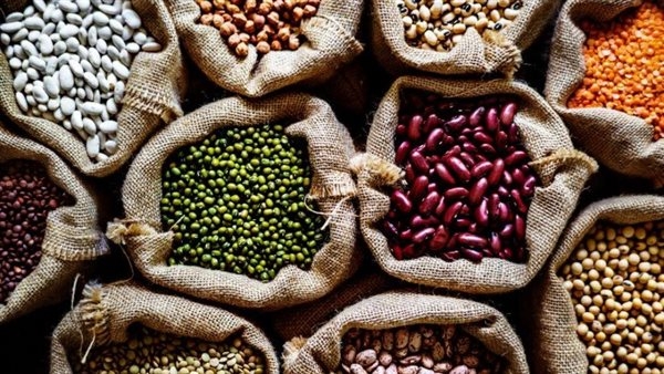أسعار البقوليات بالغربية اليوم الخميس 22 مايو 2025