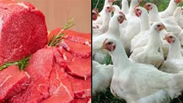تعرف على أسعار اللحوم والدواجن بالفيوم