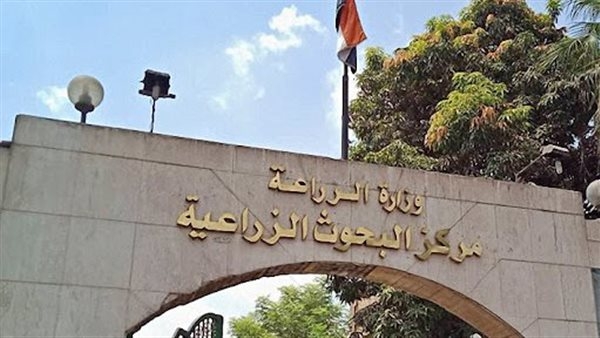 مركز البحوث الزراعية يستقبل وفد أوروبي لتطوير الزراعة المستدامة ومواجهة تغير المناخ