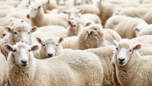 موعد أول أيام عيد الأضحى 2025 ووقت بدء صيام عشر ذي الحجة 1446