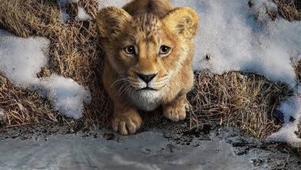إيرادات فيلم Mufasa: The Lion King تتخطى الـ721 ملايين و95 ألف دولار