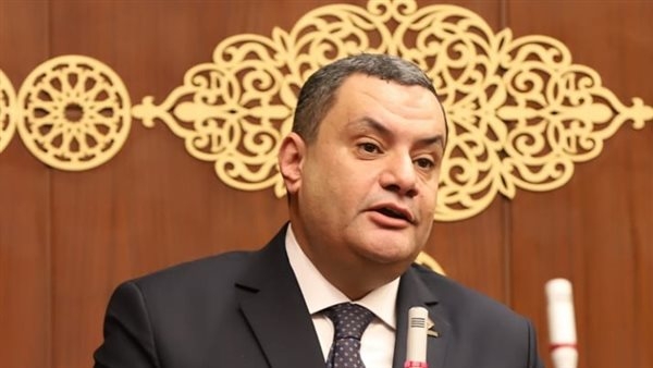 نائب التنسيقية يطالب الحكومة بسرعة تنفيذ الدراسة البرلمانية لتطوير نظام الجمارك