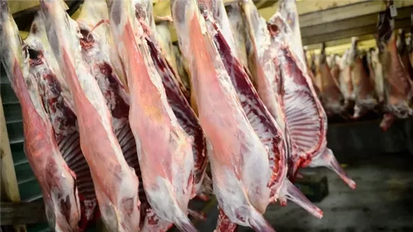 أسعار اللحوم البلدية والمجمدة داخل الأسواق بمدن وقرى البحيرة