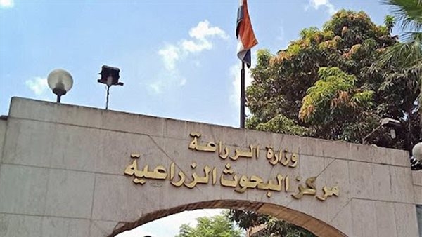 "البحوث الزراعية" ينظم برنامجًا تدريبيًا بعنوان تحليل التجارب الزراعية
