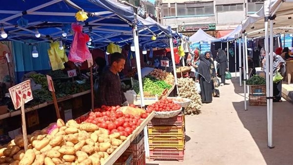 رئيس حي العجمي بالإسكندرية تتابع فعاليات سوق اليوم الواحد بمنطقة الدخيلة