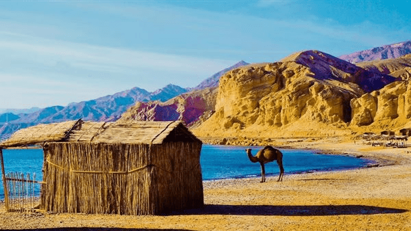 "حصون الشرق".. "إكسترا نيوز" تستعرض أبرز المعلومات عن الاكتشافات الأثرية الجديدة بسيناء