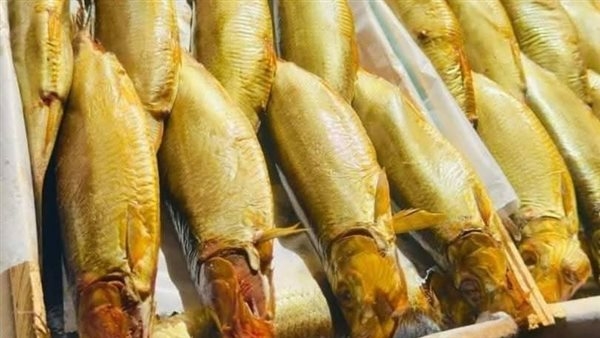 أسعار الفسيخ والرنجة بالغربية اليوم السبت 17 مايو 2025
