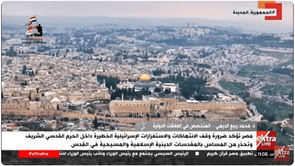 محمد ربيع: مصر داعم تاريخى للقضية الفلسطينية