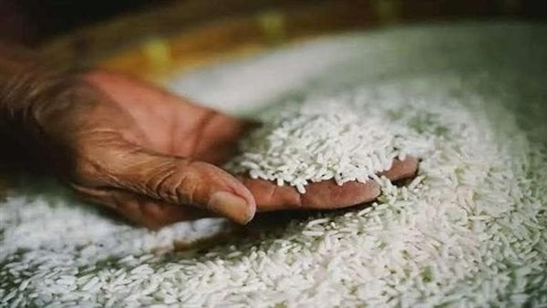 سعر طن الأرز الشعير اليوم الأحد 18 مايو 2025 في السوق