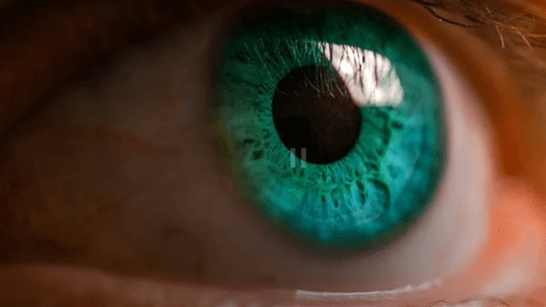 olo colour.. اكتشاف لون جديد لم يراه سوى 5 أشخاص فقط على الأرض (فيديو)