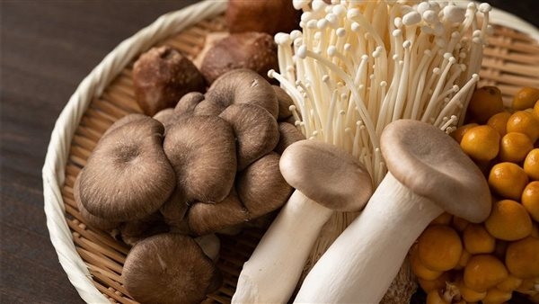 سحب عاجل لفطر ملوث من أسواق الولايات المتحدة