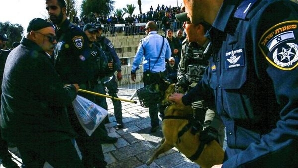 تقرير يكشف دور هولندا في تعذيب الفلسطينيين بواسطة الكلاب