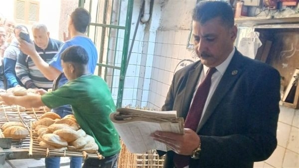 ضبط 45 كرتونة رنجة مجهولة المصدر وتحرير 210 محاضر تموينية بالمنوفية