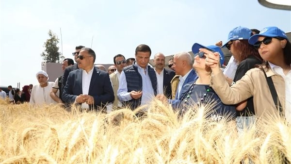 وزير الزراعة: توفير 20 ماكينة حصاد آلي لمزارعي القمح بالشرقية