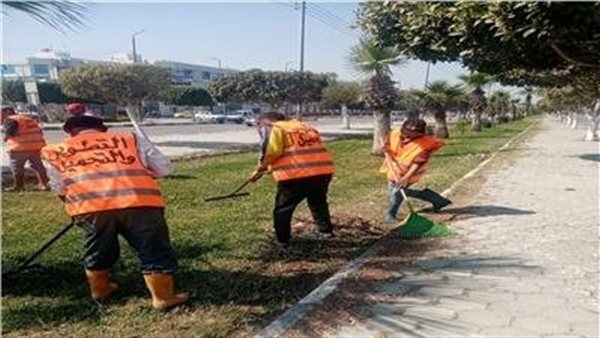 مواصلة أعمال صيانة وتجميل المسطحات الخضراء في مختلف أنحاء الإسماعيلية