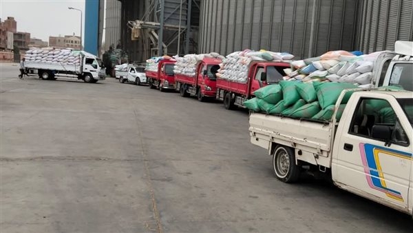 تموين الشرقية: توريد 421 ألف طن من القمح إلى مواقع التخزين