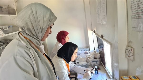 الكشف على 919 مواطنًا خلال قافلة طبية مجانية بقرية الإبراهيمية بالبحيرة