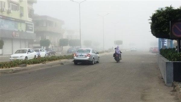 طبيب مناعة يحذر أصحاب الأمراض التنفسية من الخروج خلال العاصفة الترابية اليوم