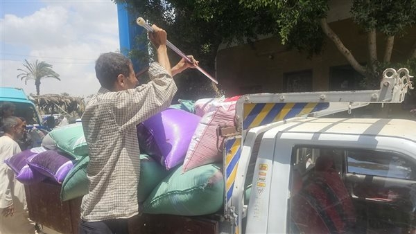 صوامع وشون بني سويف تواصل استلام "الذهب الأصفر"