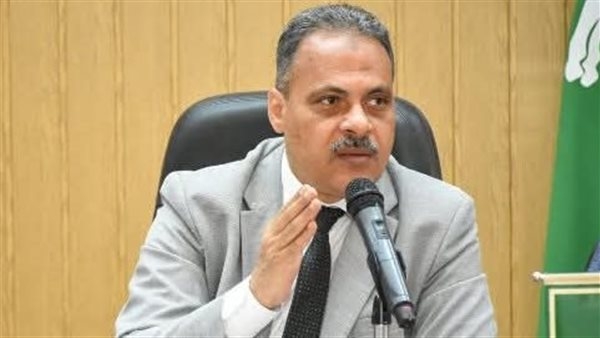 استكمال أعمال المشروعات الخدمية بمدينة صان الحجر بالشرقية