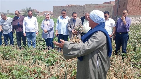 "زراعة الفيوم" تنظم ندوة إرشادية للنهوض بمحصول القطن