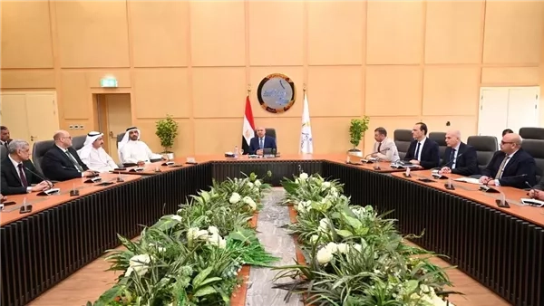 تشغيل سيارات كهربائية لنقل الركاب بالقاهرة والجيزة.. بيان حكومي يكشف التفاصيل