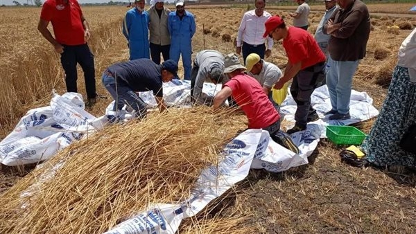 بحوث الهندسة الزراعية يختبر أحدث آلات الحصاد الذكي بالتعاون مع هيئة التعاون الدولي الإيطالية