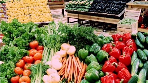 استقرار أسعار الخضروات بأسواق قنا اليوم الأحد