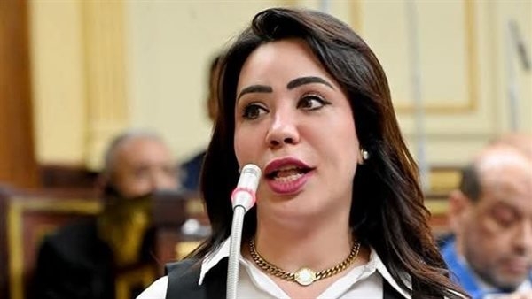 مجلس النواب يوافق على تعديل المادة الأولى بقانون "مزاولة الصيدلة"