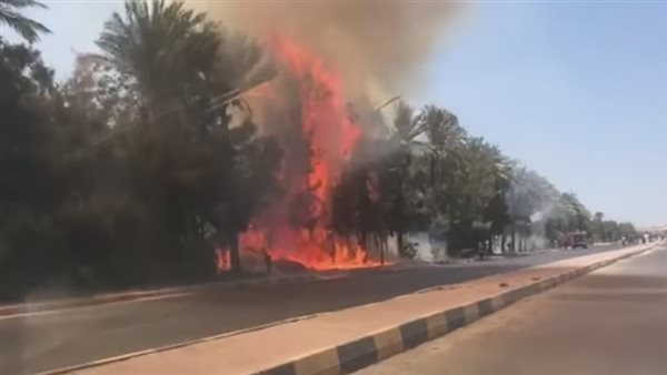 السيطرة على حريق بجوار مسجد الحمد بالتجمع الخامس