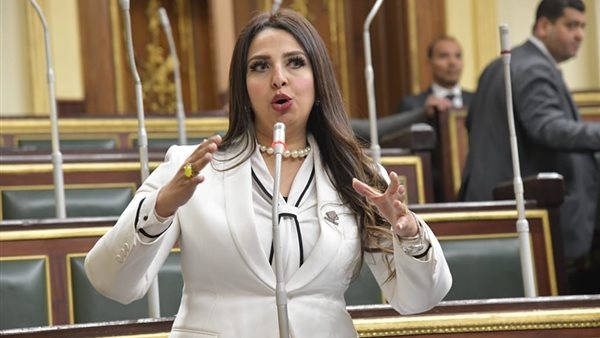 نشوى الشريف: منحة الاتحاد الأوروبي لدعم استراتيجية السكان تتوافق مع أولويات خطة التنمية