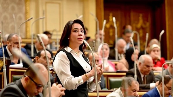 نائبة التنسيقية توافق مبدئيًا على مشروع قانون مهنة الصيدلة: "70 عاما بدون تعديل"