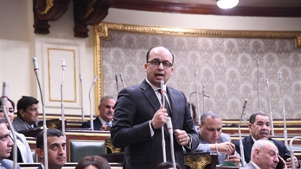 نائب التنسيقية: انضمام مصر للبرنامج الإقليمي للتعاون عبر الحدود يدعم خطط التنمية المستدامة