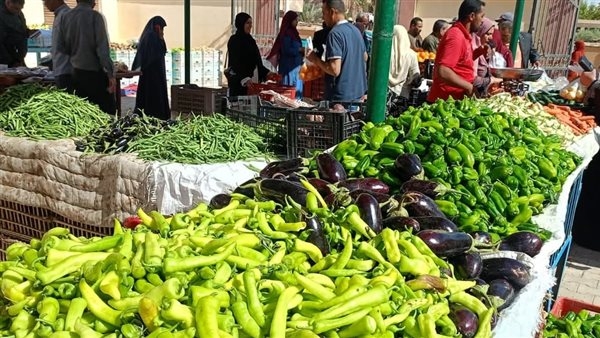 أسعار الخضر والفاكهة بأسواق الوادي الجديد اليوم 17 مايو 2025