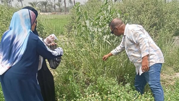"زراعة الفيوم": تسوية مساحة 15 فدانًا بالليزر استعدادًا لزراعة الذرة الصيفية