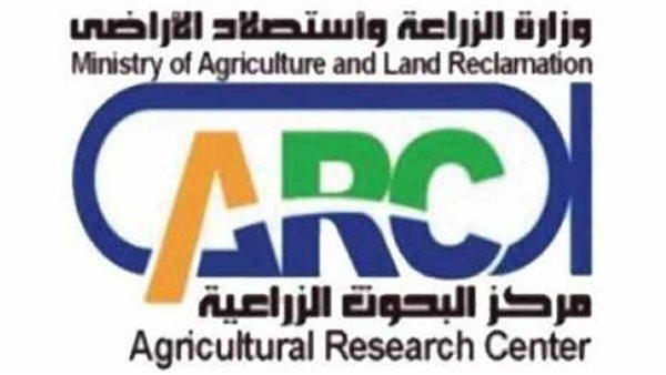 معهد بحوث الهندسة الزراعية يتوسع في تطبيق التقنيات الحديثة لزراعة الأرز آليًا