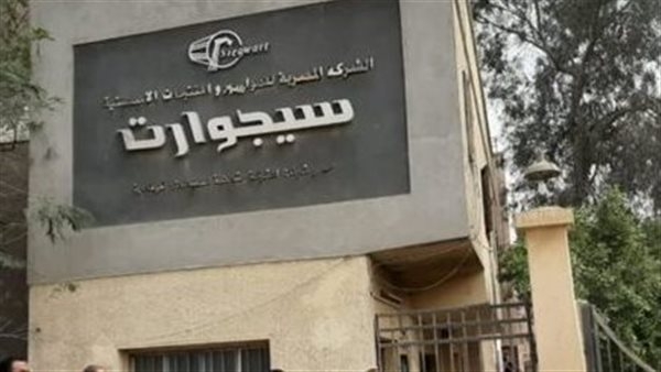 تفاصيل خطة تطوير شركة "سيجوارت" التابعة للقطاع الأعمال العام