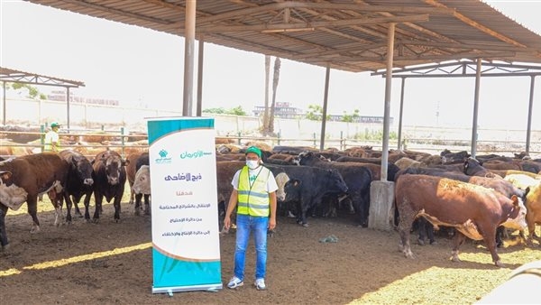 بالتعاون مع "تضامن الغربية".. وضع خطة عمل متكاملة استقبالًا لعيد الأضحى