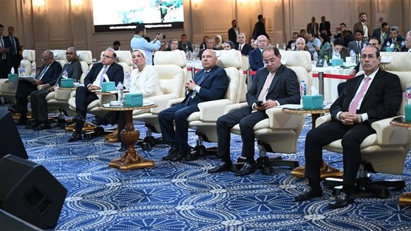 "الوزير": مصر تقود التحول الأخضر في أفريقيا نحو مستقبل مستدام