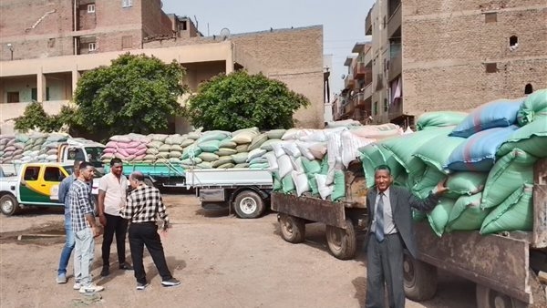 محافظ المنيا: توريد 390 ألف طن من القمح بصوامع المحافظة
