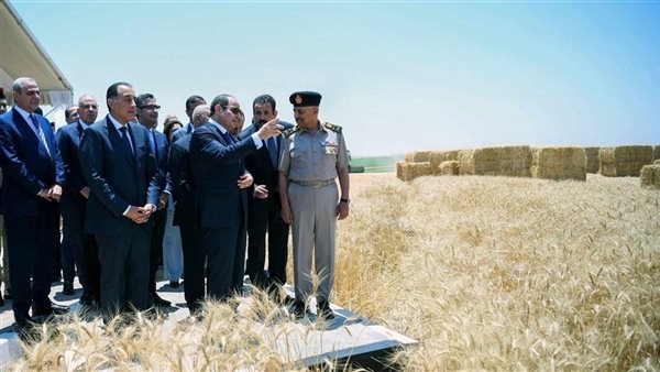 الرئيس السيسي يشهد فعاليات موسم حصاد القمح 2025