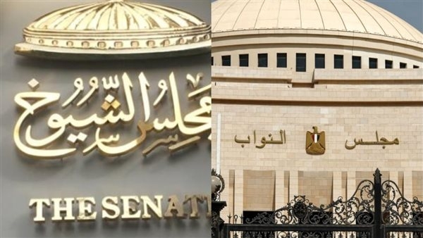 رسميًا.. تعديلات قوانين مجلسى النواب والشيوخ وتقسيم الدوائر تصل البرلمان